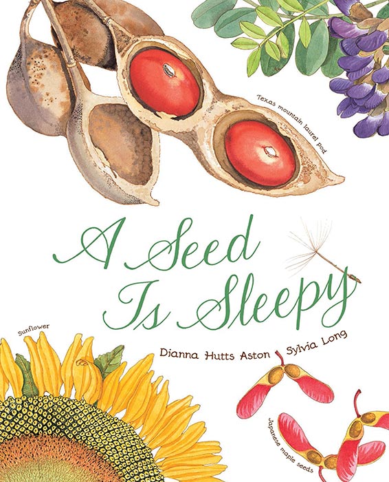 A Seed Is Sleepy by Dianna Aston