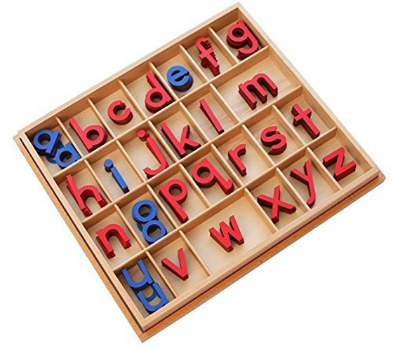 Kid Advance Montessori Small Movable Alphabets