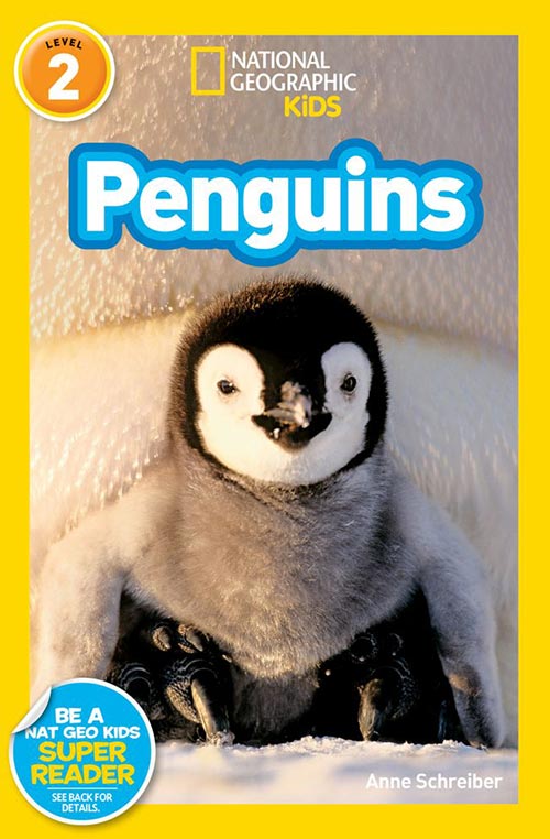 National Geographic Kids: Penguins by Anne Schreiber