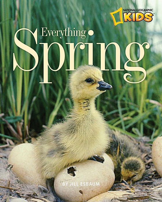 Everything Spring by Jill Esbaum