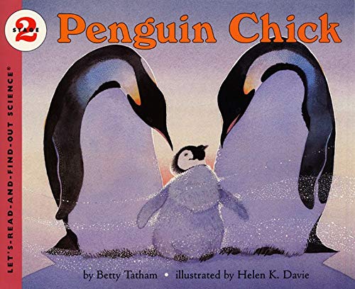Penguin Chick by Betty Tatham