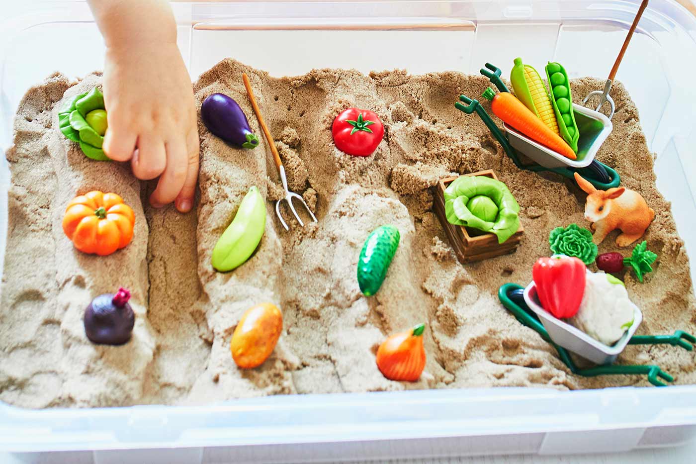 Sensory Bins for 1 Year Old